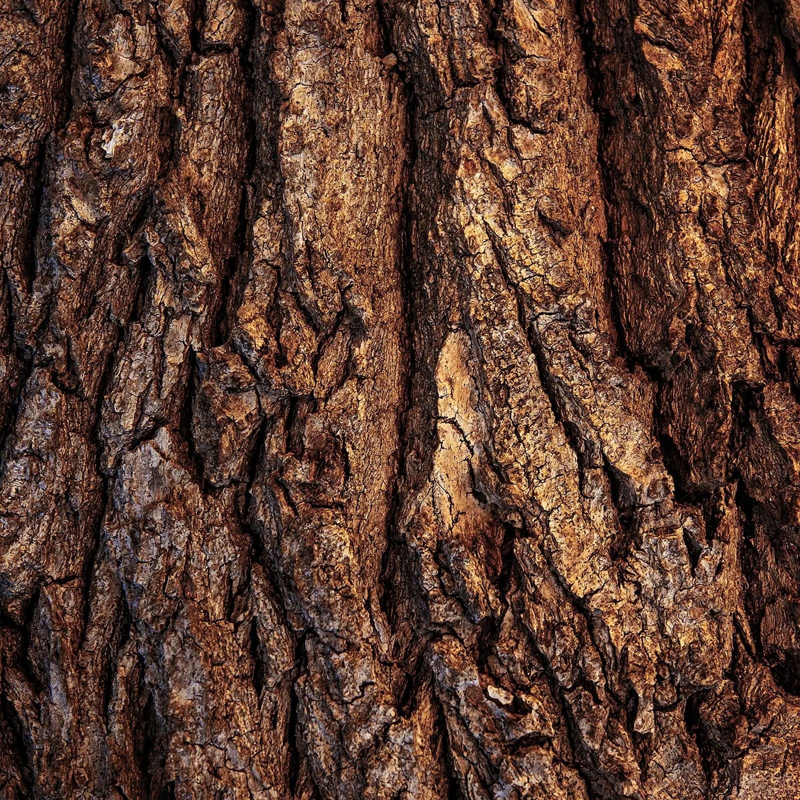 Crème Mains Nourrissante - Endro Cosmetiques