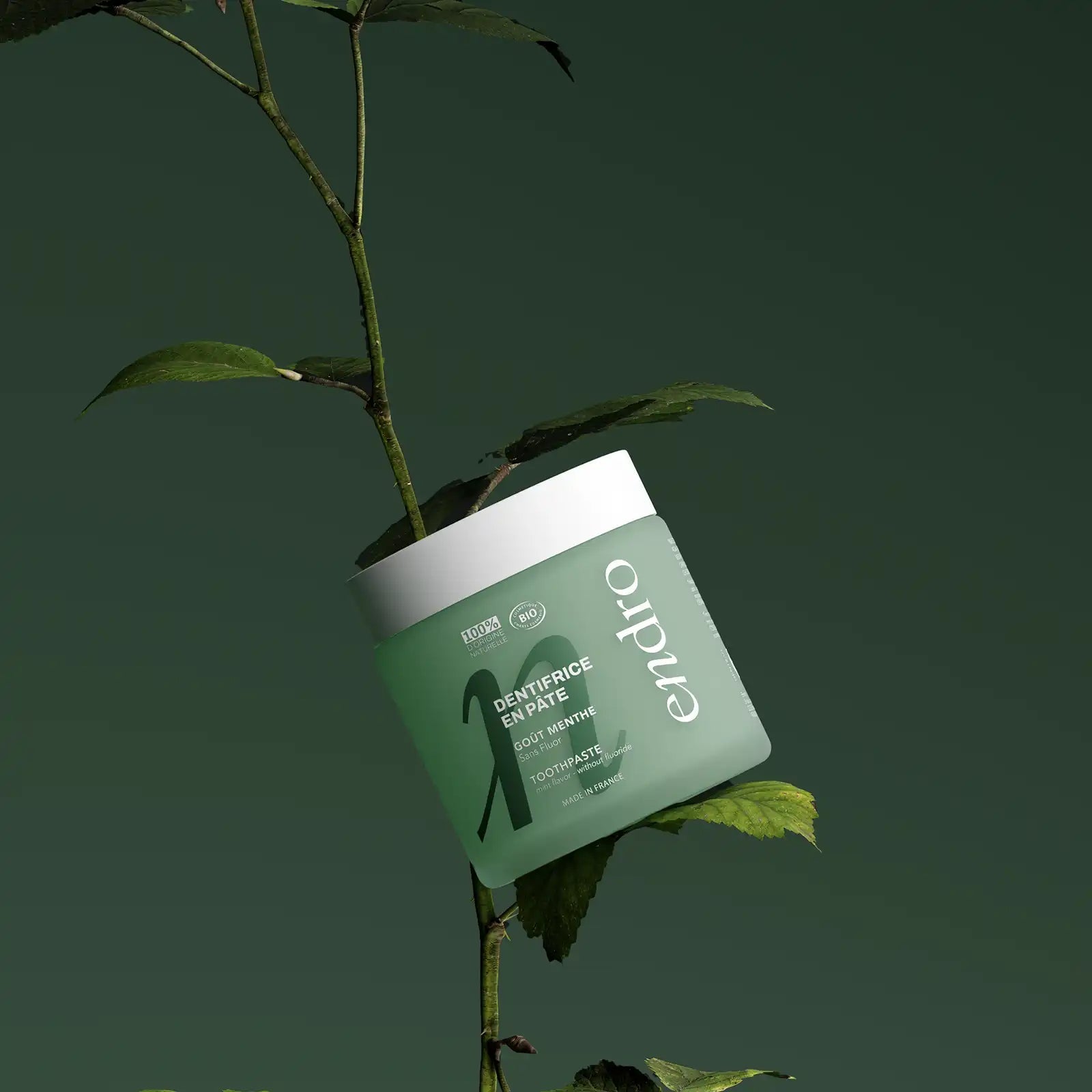 Dentifrice En Pâte - Goût Menthe - Endro Cosmetiques