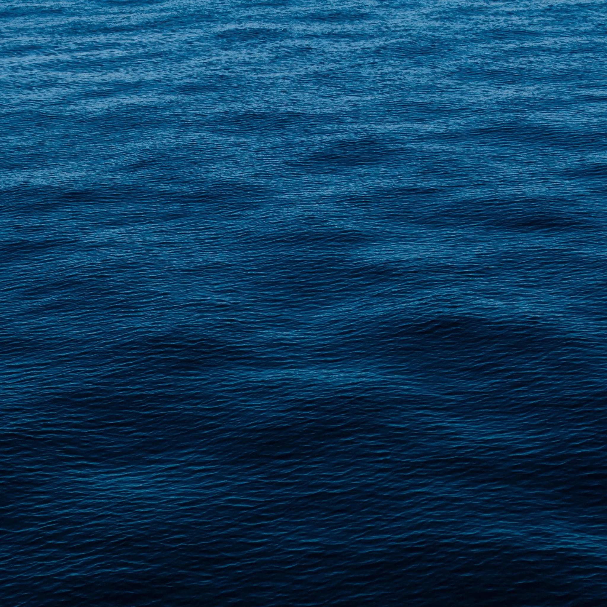 Gelée nettoyante - Endro Cosmetiques