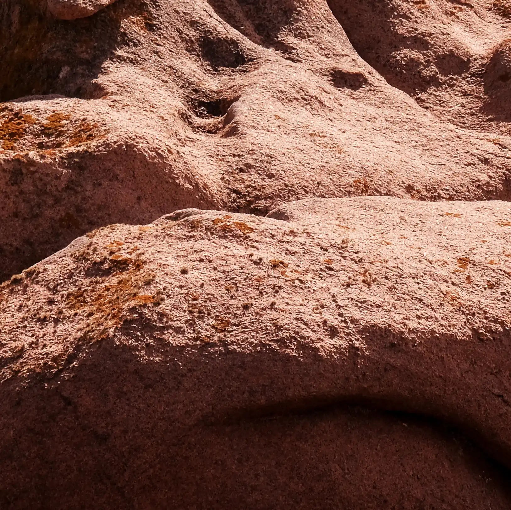 Huile Lactée Démaquillante - Endro Cosmetiques