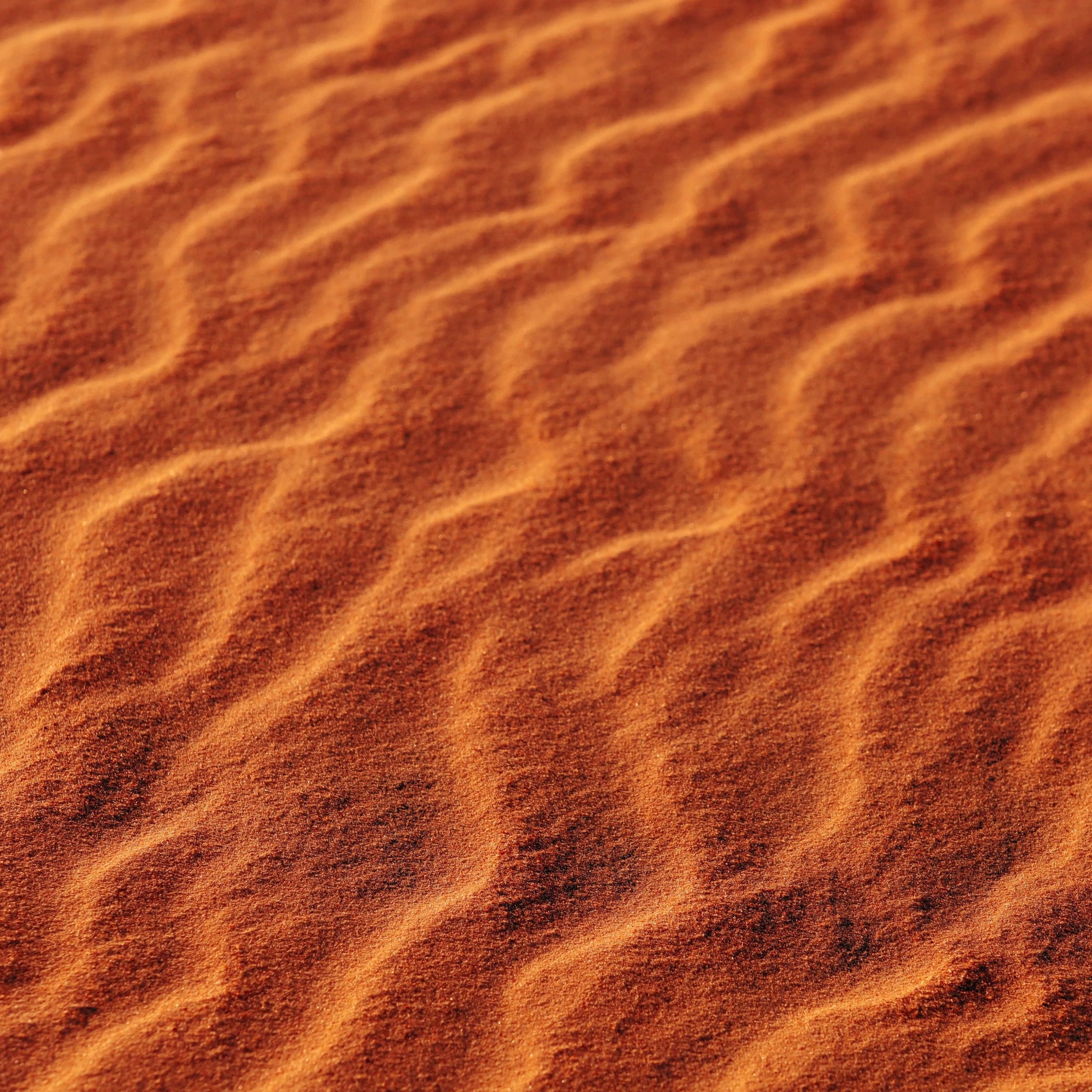 Huile Sèche Sublimante - Endro Cosmetiques